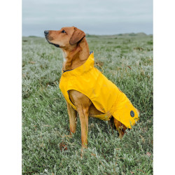 Dog Coat Hunter Milford Yellow 50 cm