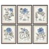 Painting DKD Home Decor Flowers Modern 50 x 2 x 65 cm (6 Pieces)