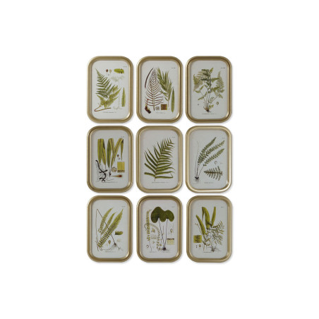 Painting DKD Home Decor Modern Botanical plants 30 x 2 x 45 cm (9Units)