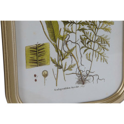 Painting DKD Home Decor Modern Botanical plants 30 x 2 x 45 cm (9Units)