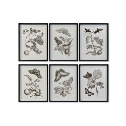 Painting DKD Home Decor 50 x 2,5 x 65 cm Flowers Modern (6 Pieces)