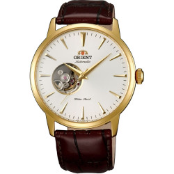 Men's Watch Orient FAG02003W0