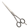 Hair scissors Fama Fabré Jaguar 6"