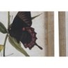 Painting DKD Home Decor Butterflies 40 x 2 x 50 cm Shabby Chic (4 Pieces)