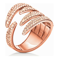 Ladies' Ring Folli Follie 3R15S061RS-52 (12)