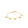 Ladies' Bracelet Ania Haie B009-01G 19 cm