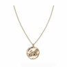 Ladies' Necklace Rosefield JTXCG-J078 40-45 cm