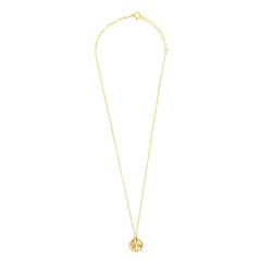 Ladies' Necklace Radiant RY000048 50 cm