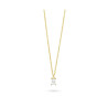 Ladies' Necklace Radiant RY000065 50 cm