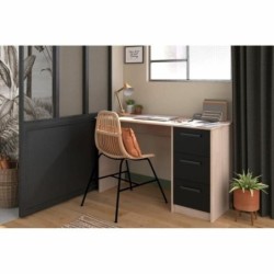 Desk Parisot