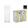 Set of glasses Royal Leerdam Lemon 4 Units 310 ml (6 Pieces)