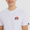 Men’s Short Sleeve T-Shirt Ellesse Canaletto White