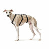 Dog Harness Hunter Black L M/L