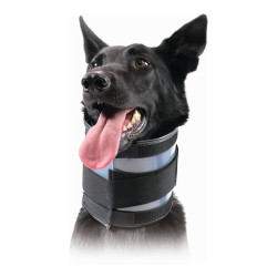 Cervical Collar for Dogs KVP Black (15-53 cm)