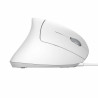 Mouse Trust Verto White