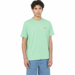 Short Sleeve T-Shirt Dickies Mapleton Green Men