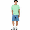 Short Sleeve T-Shirt Dickies Mapleton Green Men