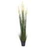 Decorative Plant 44 x 48 x 200 cm Green Cream PVC