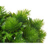 Decorative Plant Plastic 17 x 19,5 x 17 cm (6 Units)