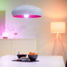 Smart Light bulb Ledkia G95 12 W E27 RGB