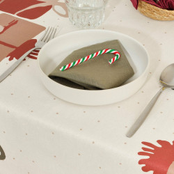 Stain-proof resined tablecloth Belum Christmas Present  100 x 140 cm