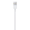 Lightning Cable Apple ME291ZM/A 50 cm White