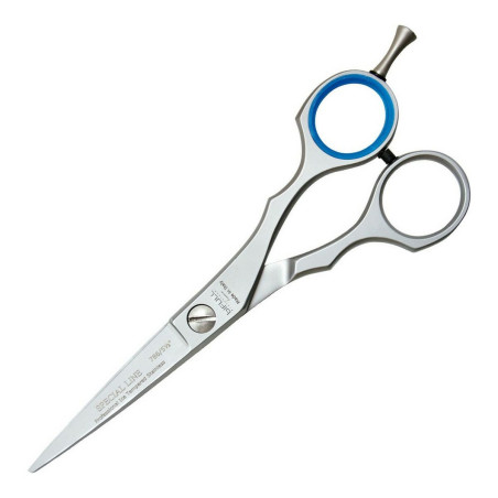 Pet Scissors Bifull Advanced Stainless steel (14 cm) (14 cm)