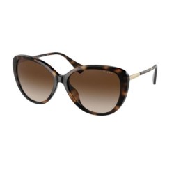 Ladies' Sunglasses Ralph Lauren RA 5288U