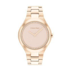 Ladies' Watch Calvin Klein 25200368