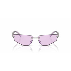 Ladies' Sunglasses Dolce & Gabbana DG 2301