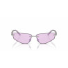 Ladies' Sunglasses Dolce & Gabbana DG 2301