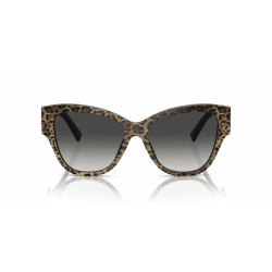 Ladies' Sunglasses Dolce & Gabbana DG 4449