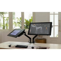 Graphics tablet Huion RDS 220