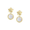 Ladies' Earrings Fossil JF04021710