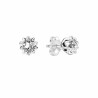 Ladies' Earrings Pandora 290023C01