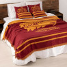 Blanket Harry Potter Gryffindor Values 180 x 260 cm 180 x 2 x 260 cm