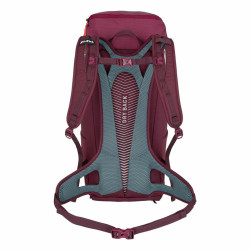 Kitbag Rucksack Salewa Alp Mate 30 Fuchsia