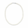 Ladies' Necklace Ti Sento 3849PW/42