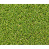 Astro-turf Exelgreen Campus 2D 1 x 5 m 25 mm