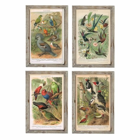 Painting DKD Home Decor 45 x 2 x 65 cm Birds Cottage (4 Pieces)