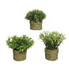 Decorative Plant Basic Home Artificial Rope Green 16 x 3 cm