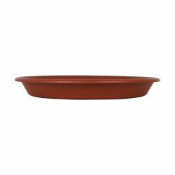 Flower Pot Dish Dem ø 22 x 2,8 cm (12 Units)