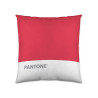 Cushion cover Pantone Stripes (50 x 50 cm)