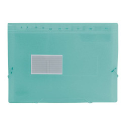 Organiser Folder Liderpapel FU13 Green A4