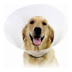 Elizabethan Dog Collar KVP Check Transparent (34-43 cm)