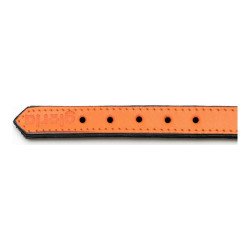 Dog collar Gloria Padded Orange (30 x 1,5 cm)