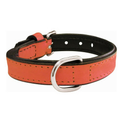 Dog collar Gloria Padded Coral (30 x 1,5 cm)