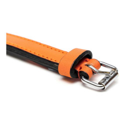 Dog collar Gloria Padded Orange (30 x 1,5 cm)