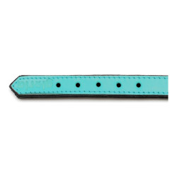 Dog collar Gloria Padded Turquoise (30 x 1,5 cm)