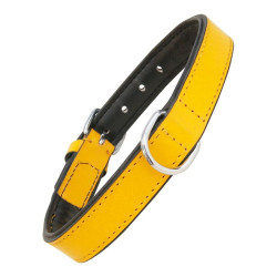 Dog collar Gloria Padded Yellow (35 x 1,5 cm)